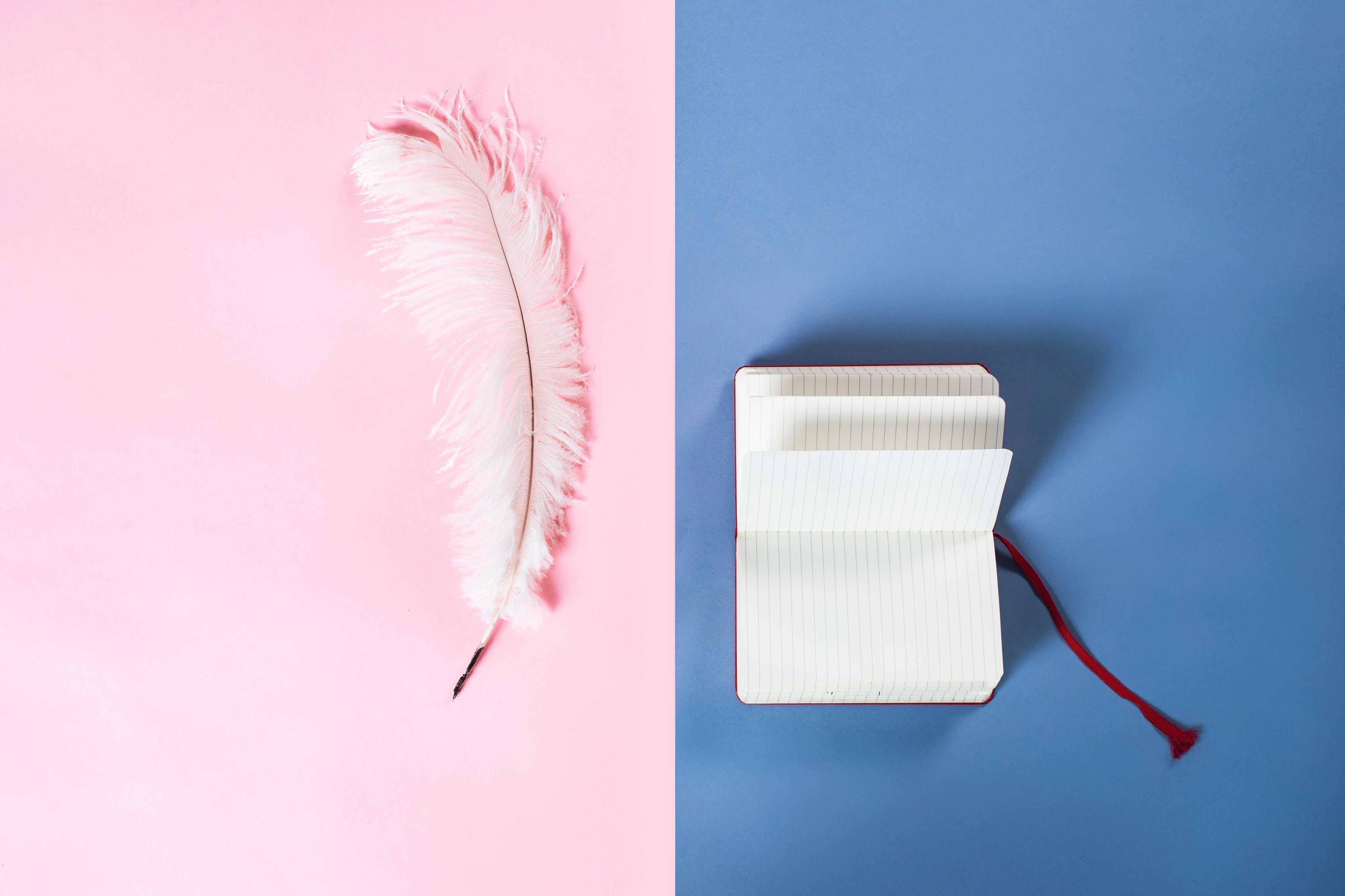 Why Is Vaginal Dilation Essential After Gender-Affirming Surgery? A Comprehensive Guide to Postoperative Success with REBLOOM