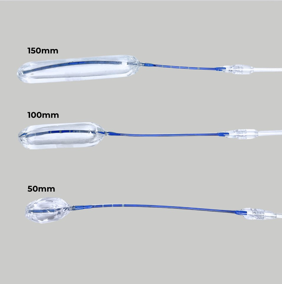 Rebloom GAS Vaginal Trainers